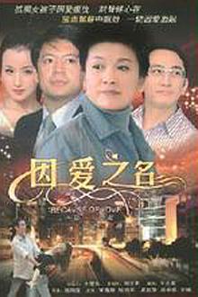 Chinese TV - 守望