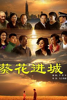 Chinese TV - 葵花进城