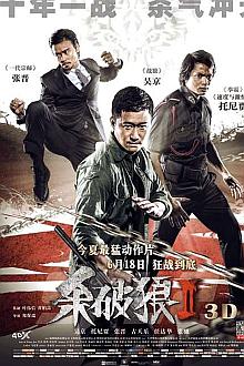 Action movie - 杀破狼2