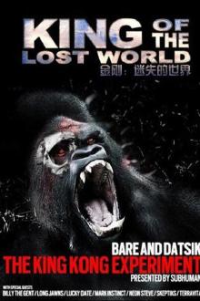 金刚:迷失的世界