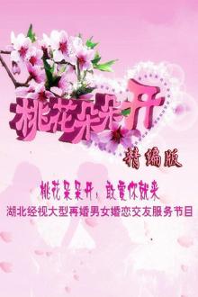 桃花朵朵开精编版