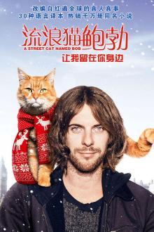 流浪猫鲍勃（普通话版）