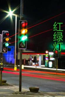 红绿灯2019