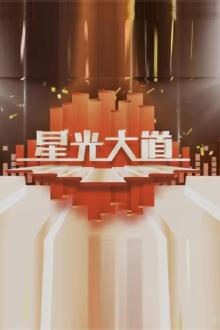 星光大道（2020）