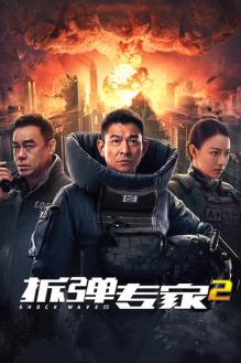 拆弹专家2（粤语版）